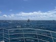 Sunday September 1st 2024 Tropical Odyssey: North Star reef report photo 1