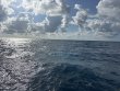 Monday September 2nd 2024 Tropical Odyssey: Spiegel Grove reef report photo 1