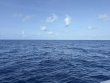 Saturday May 17th 2025 Tropical Odyssey: USCGC Duane reef report photo 1