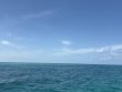 Monday July 7th 2025 Tropical Odyssey: Banana Patch reef report photo 1