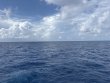 Tuesday July 15th 2025 Tropical Odyssey: Spiegel Grove reef report photo 1