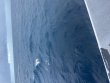 Wednesday August 27th 2025 Tropical Odyssey: Spiegel Grove reef report photo 1
