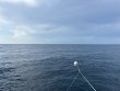 Wednesday September 10th 2025 Tropical Odyssey: USCGC Bibb reef report photo 1