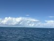 Tuesday October 7th 2025 Tropical Odyssey: Permit Ledges reef report photo 1