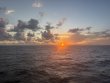 Tuesday October 7th 2025 Tropical Odyssey: Fire Coral Cave reef report photo 1