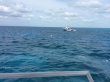 Saturday April 30th 2016 Tropical Odyssey: Molasses Reef reef report photo 1