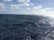 Thursday November 3rd 2016 Tropical Odyssey: Spiegel Grove reef report photo 1