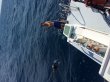 Saturday November 19th 2016 Tropical Odyssey: USCGC Duane reef report photo 1