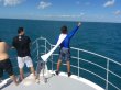 Wednesday November 23rd 2016 Tropical Odyssey: USCGC Duane reef report photo 2