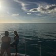 Wednesday January 18th 2017 Tropical Odyssey: Elbow Reef reef report photo 1