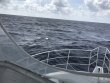 Wednesday April 19th 2017 Tropical Odyssey: USCGC Duane reef report photo 1
