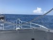 Tuesday May 2nd 2017 Tropical Odyssey: Spiegel Grove reef report photo 1