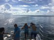 Sunday July 16th 2017 Tropical Odyssey: Spiegel Grove reef report photo 1