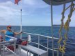 Sunday August 27th 2017 Tropical Odyssey: The Horseshoe reef report photo 1