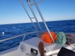Thursday November 2nd 2017 Tropical Odyssey: Spiegel Grove reef report photo 1