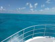 Sunday November 5th 2017 Tropical Odyssey: Spiegel Grove reef report photo 1
