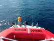 Saturday November 25th 2017 Tropical Odyssey: Spiegel Grove reef report photo 1