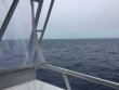 Wednesday January 3rd 2018 Tropical Odyssey: USCGC Bibb reef report photo 1