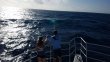 Friday January 12th 2018 Tropical Odyssey: Spiegel Grove reef report photo 1
