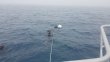 Wednesday January 24th 2018 Tropical Odyssey: Spiegel Grove reef report photo 1