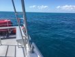 Thursday February 15th 2018 Tropical Odyssey: Benwood Wreck reef report photo 1