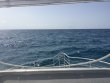 Wednesday August 8th 2018 Tropical Odyssey: USCGC Duane reef report photo 1
