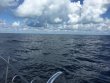 Tuesday September 18th 2018 Tropical Odyssey: Spiegel Grove reef report photo 1