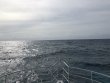 Friday April 5th 2019 Tropical Odyssey: USCGC Duane reef report photo 1