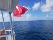 Monday July 29th 2019 Tropical Odyssey: USCGC Duane reef report photo 1