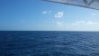 Thursday November 6th 2014 Tropical Odyssey: Spiegel Grove reef report photo 1
