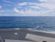 Monday September 28th 2020 Tropical Serenity: Benwood Wreck reef report photo 1
