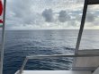 Tuesday January 12th 2021 Tropical Serenity: Spiegel Grove reef report photo 1