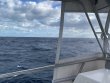 Saturday January 30th 2021 Tropical Serenity: USCGC Duane reef report photo 1