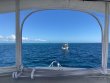 Thursday February 25th 2021 Tropical Serenity: USCGC Duane reef report photo 1