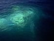 Saturday June 11th 2022 Tropical Serenity: Benwood Wreck reef report photo 1