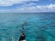 Monday June 10th 2024 Tropical Serenity: Undersea Highway reef report photo 1