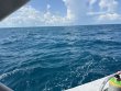 Wednesday August 7th 2024 Tropical Serenity: Benwood Wreck reef report photo 1