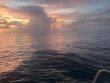 Thursday September 12th 2024 Tropical Serenity: Benwood Wreck reef report photo 1