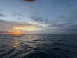 Tuesday October 15th 2024 Tropical Serenity: Nine Channel reef report photo 2