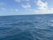 Tuesday December 17th 2024 Tropical Serenity: Nine Channel reef report photo 1