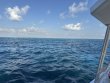 Tuesday February 4th 2025 Tropical Serenity: Nine Channel reef report photo 1