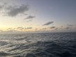 Thursday February 6th 2025 Tropical Serenity: Benwood Wreck reef report photo 1