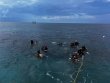 Friday May 23rd 2025 Tropical Serenity: Mikes Wreck reef report photo 1