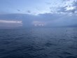 Saturday August 23rd 2025 Tropical Serenity: Benwood Wreck reef report photo 1