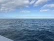 Wednesday October 15th 2025 Tropical Serenity: Benwood Wreck reef report photo 1