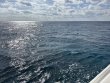 Friday December 12th 2025 Tropical Serenity: French Reef reef report photo 1
