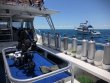 Monday June 4th 2018 Tropical Serenity: Benwood Wreck reef report photo 1