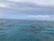 Tuesday August 14th 2018 Tropical Serenity: Pickle Barrel Wreck reef report photo 1