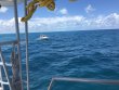 Monday August 20th 2018 Tropical Serenity: Benwood Wreck reef report photo 1