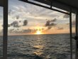 Thursday November 1st 2018 Tropical Serenity: Hole in the Wall reef report photo 1